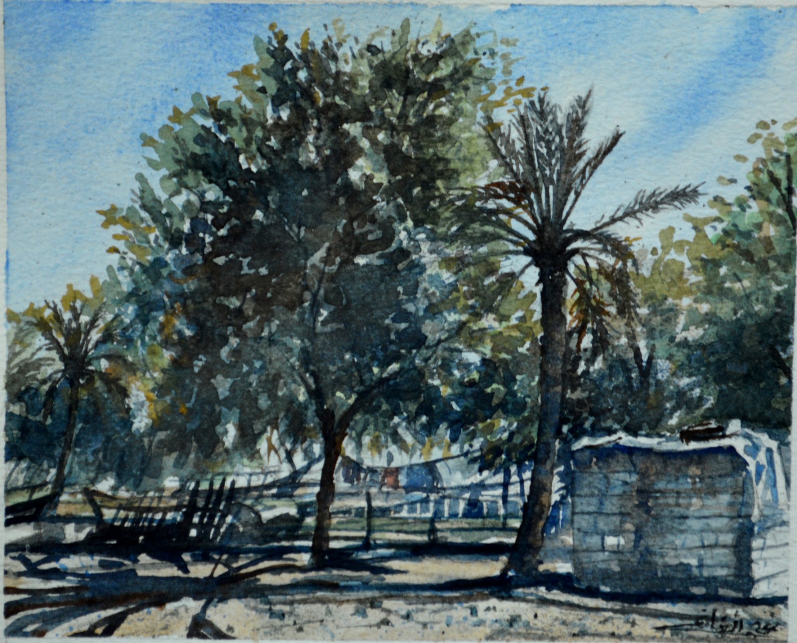 PHOTO-2026-01-31-12-05-32 2