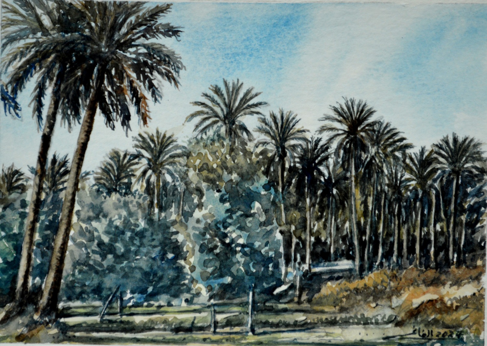 PHOTO-2026-01-31-12-05-32 5