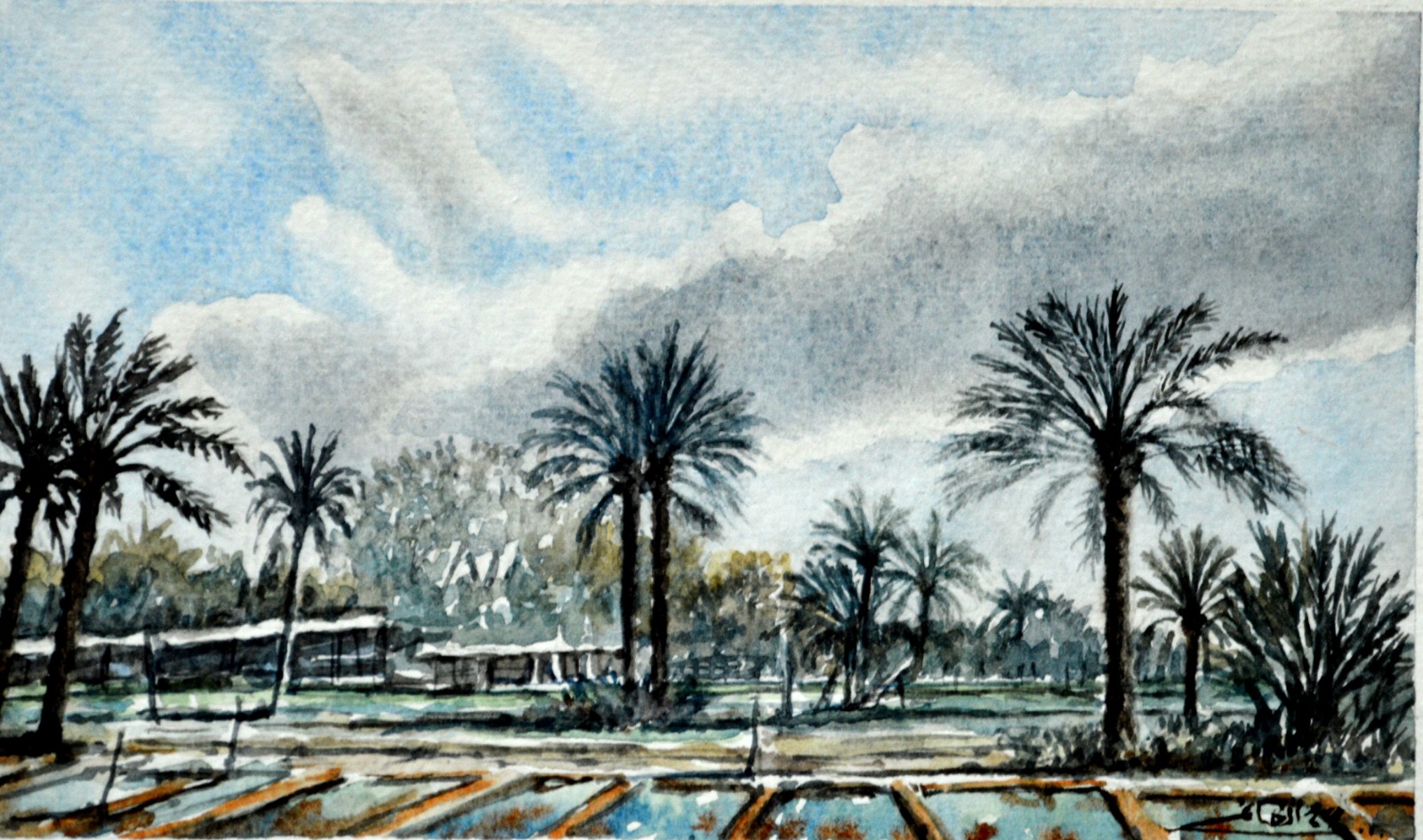 PHOTO-2026-01-31-12-05-32 6