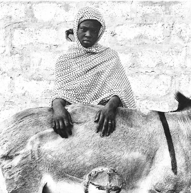 Microsoft Word - Curriculum vitae AoÃ»t 2022 - Raed Bawayah