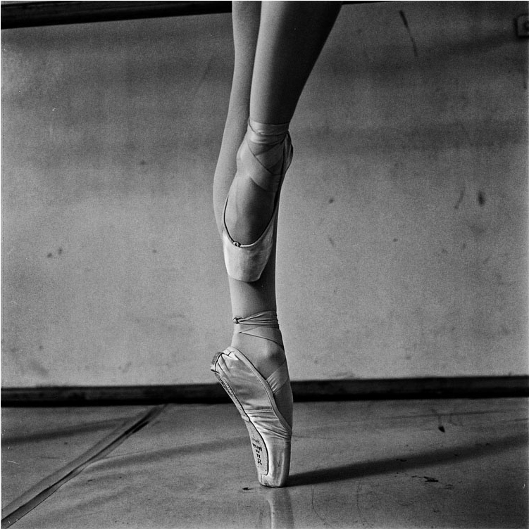 Microsoft Word - Curriculum vitae AoÃ»t 2022 - Raed Bawayah