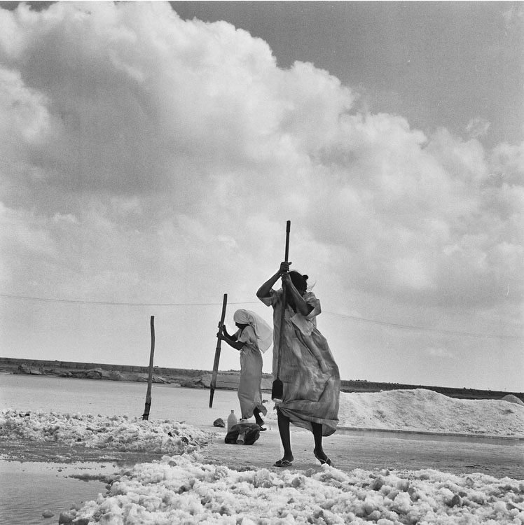 Microsoft Word - Curriculum vitae AoÃ»t 2022 - Raed Bawayah