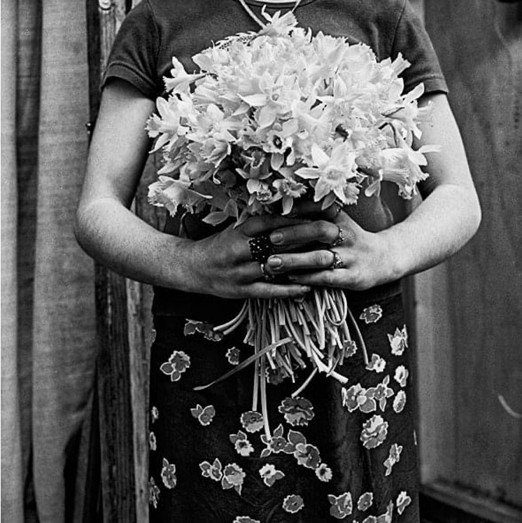 Microsoft Word - Curriculum vitae AoÃ»t 2022 - Raed Bawayah